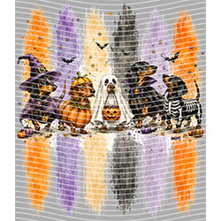 Halloween-WS 11995